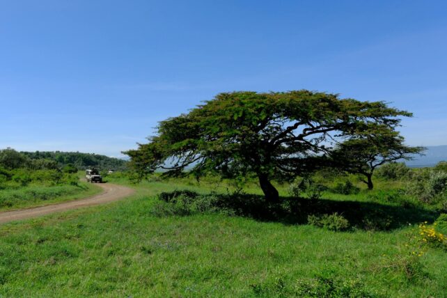 deluxetravelclub_kenia biuro podróży-46_2.jpg